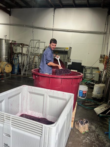 A young man stands in a large red bin filled with crushed grapes, stirring the mixture with a tool, in a winery setting surrounded by equipment.