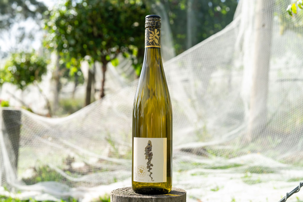 A bottle of wine placed on a wooden log, surrounded by greenery and a fishing net in the background.