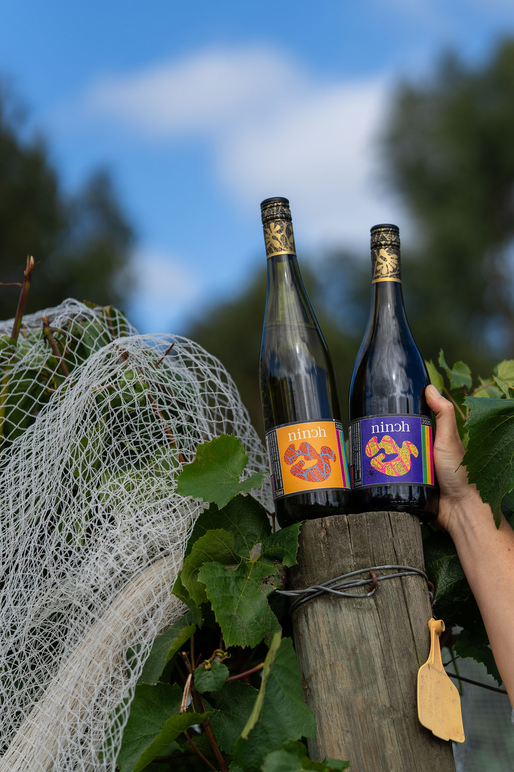 The "Ninch" range featuring a zesty Riesling and Bright juicy Pinot Noir!